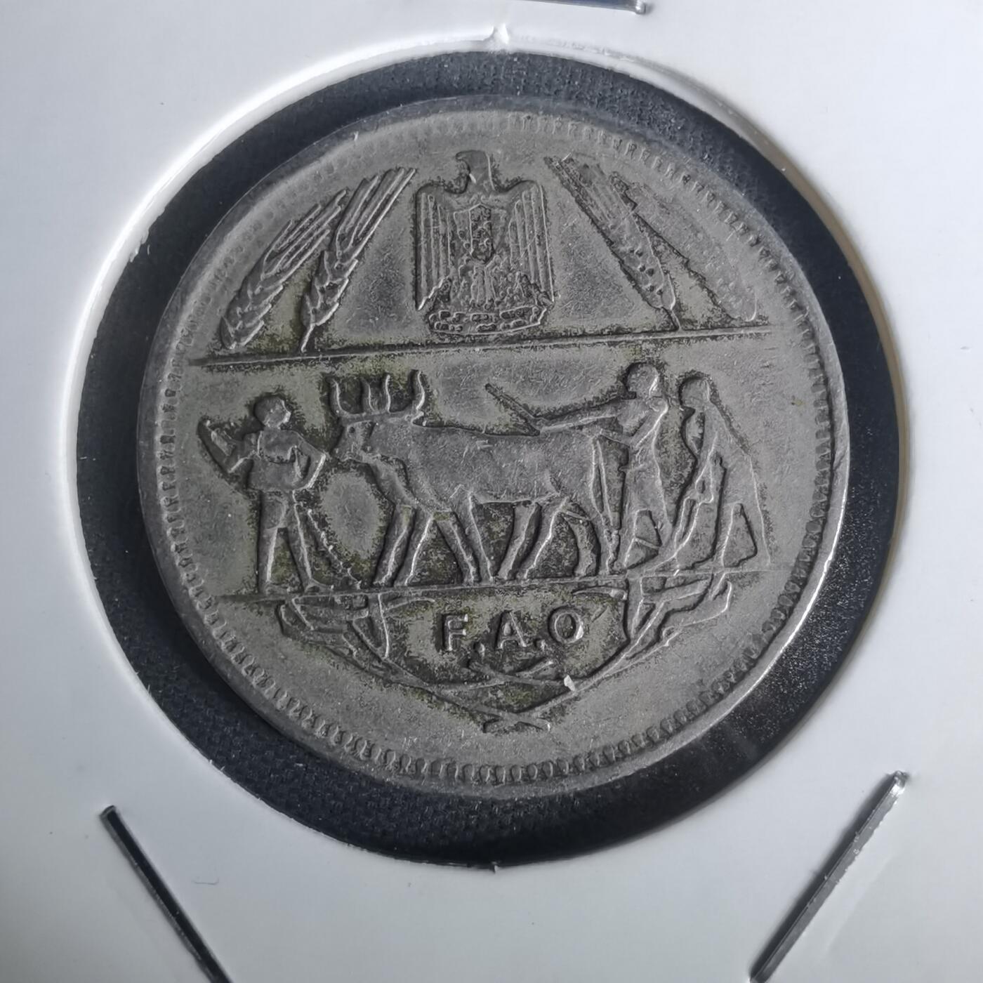 沼泽如烟--第1002场 埃及纪念币