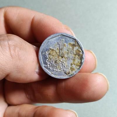 裸币 - 2:1993年菊花一角