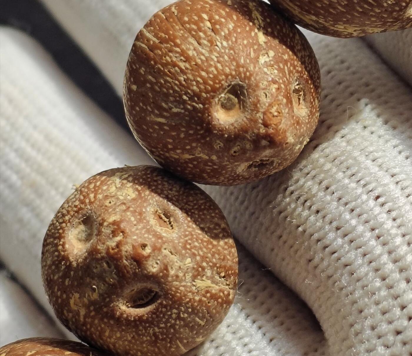 紫金鼠原皮手串