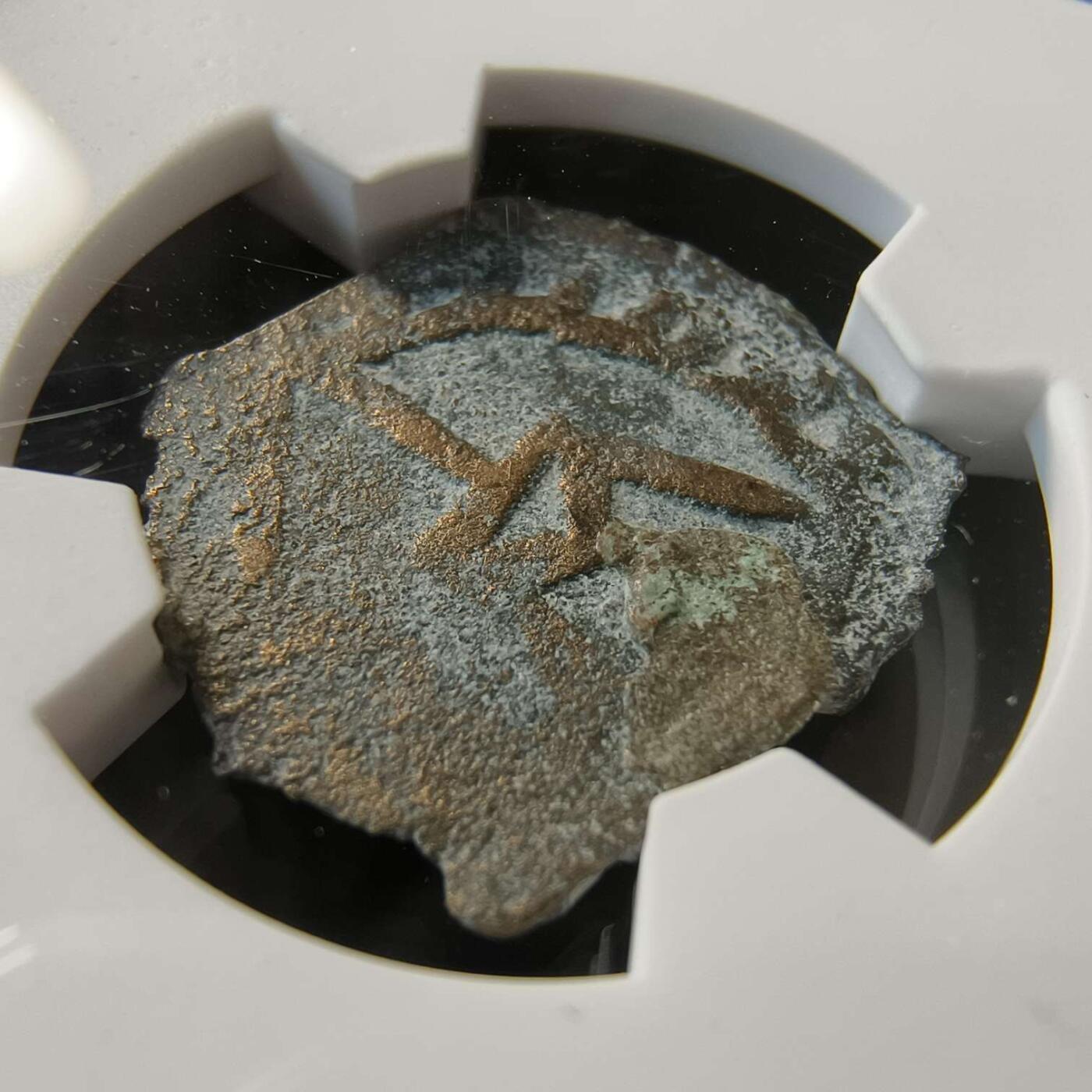 七河·世界世界币章杂件矿标化石小拍（总第38期）