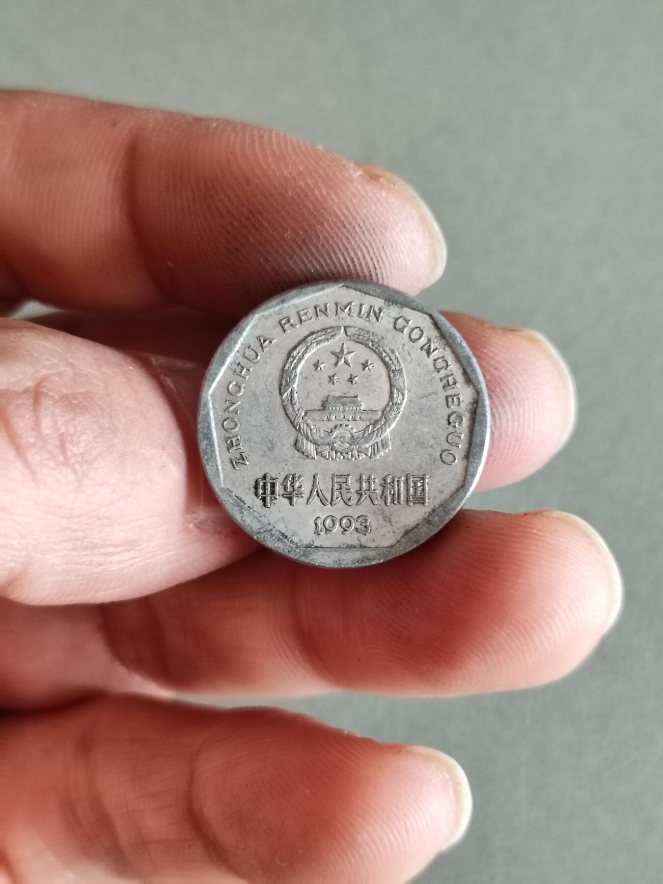 裸币 54:1993年菊花一角