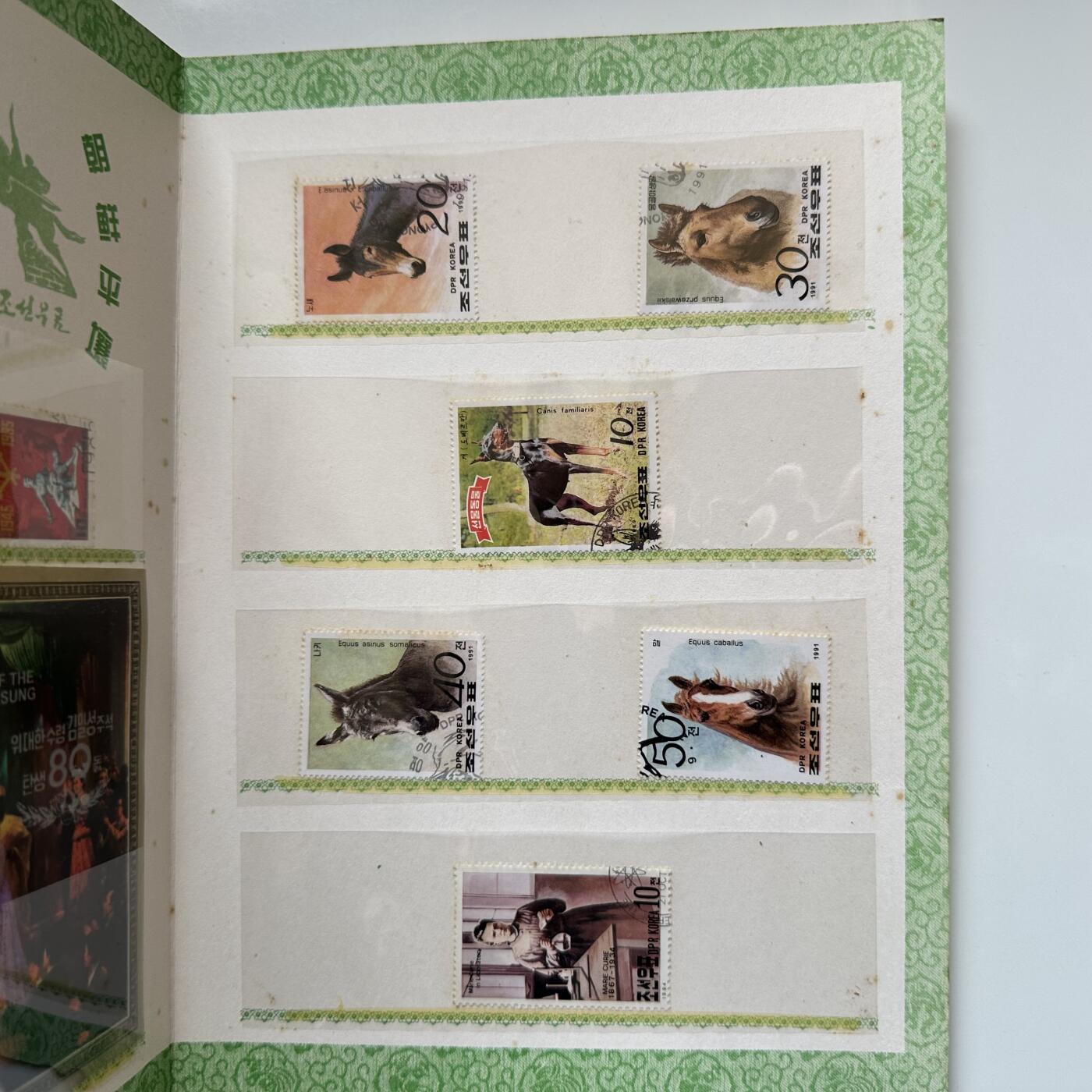 🌹外币初藏🌹🐯2026年第20场 正月十五正常发货 朝鲜旅游邮票纪念卡