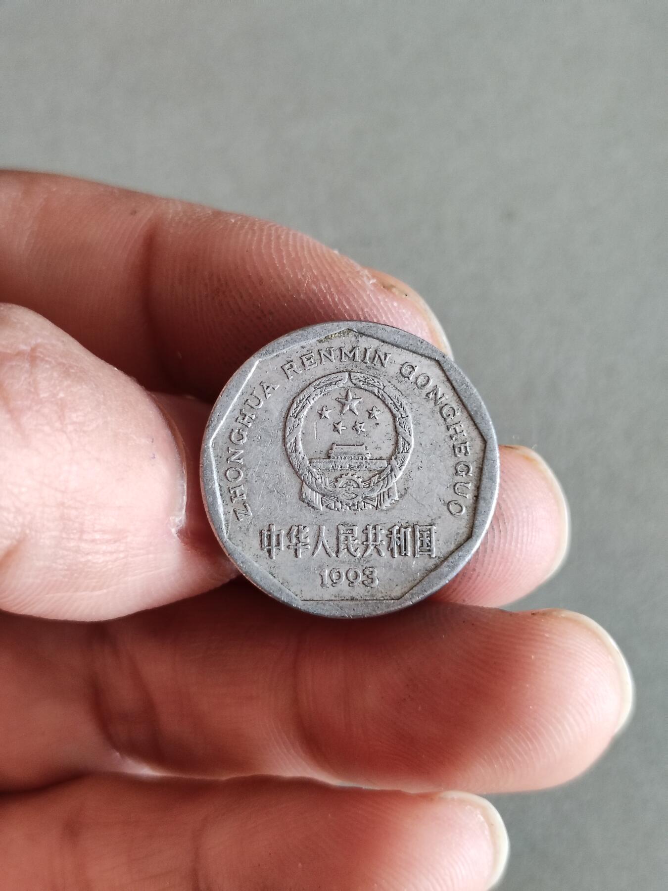 裸币 51:1993年菊花一角