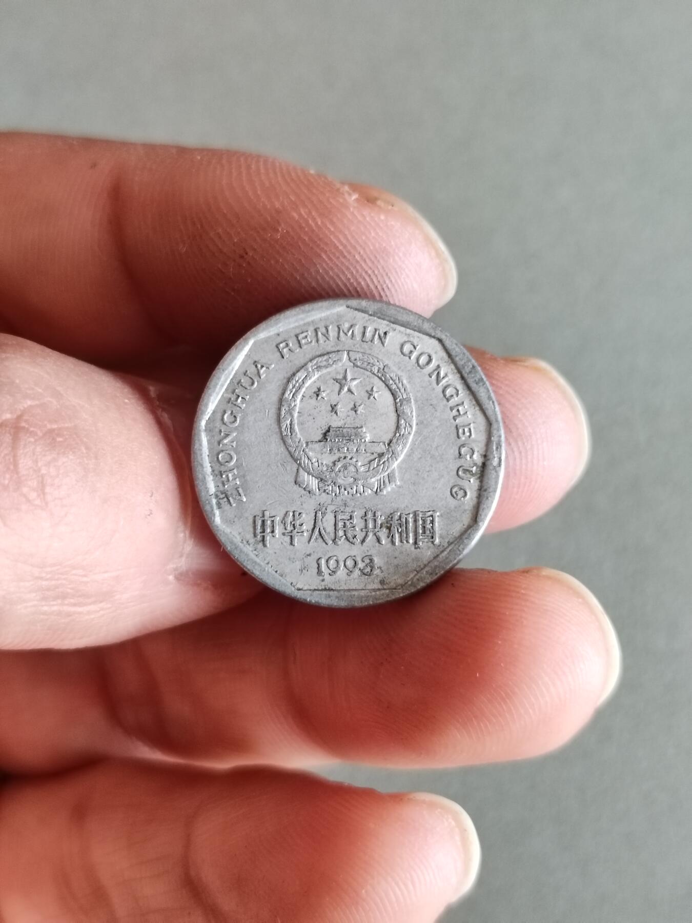 裸币 46:1993年菊花一角