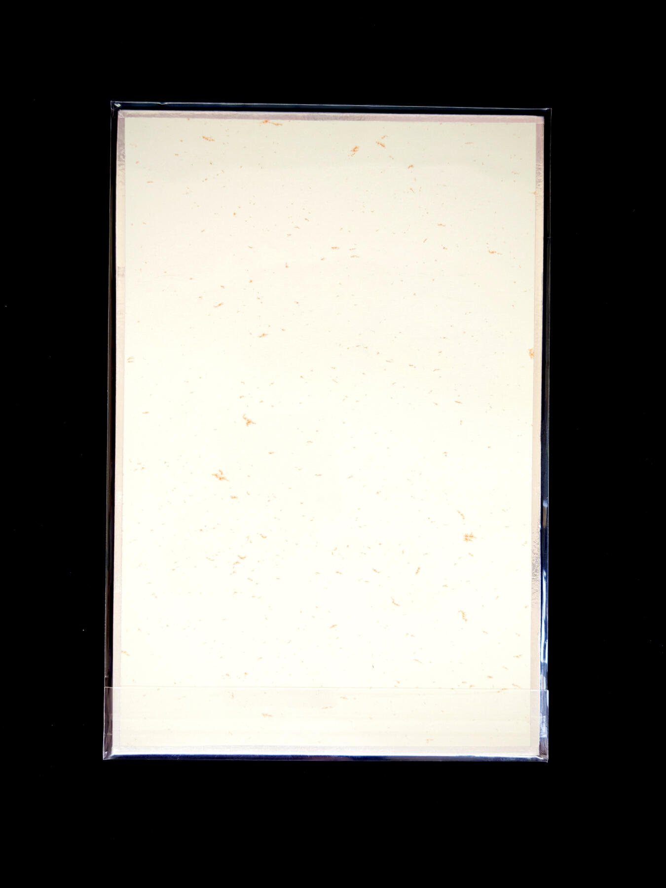 琦卡当当铺～第34期★★新年快乐~各种类型亲签A4都有~支持寄存★★~【9点40结束】扫码加群抽[包邮券]~