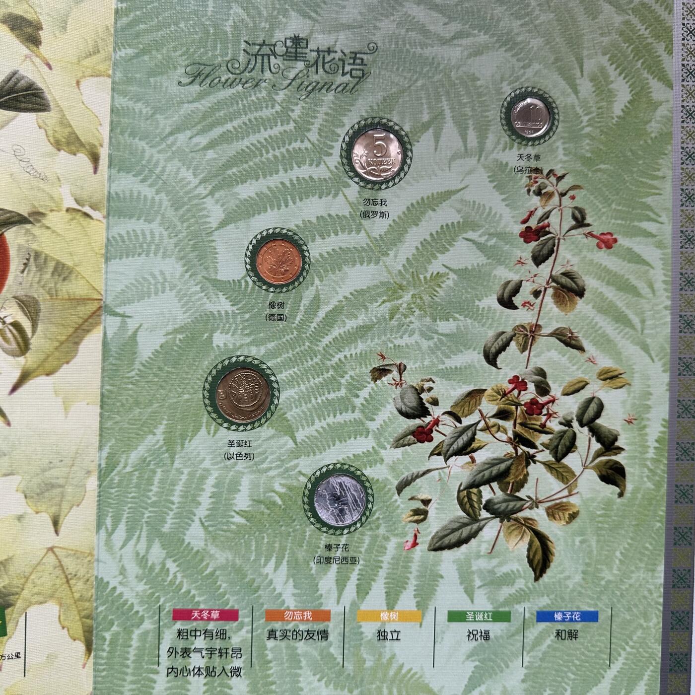 🌹外币初藏🌹🐯2026年第20场 正月十五正常发货 流星花语世界邮币收藏册