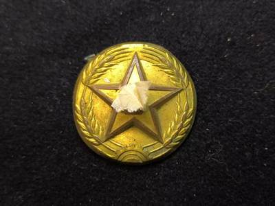 云宸嘉赏-勋臻佳藏新年快速场次（快拍 低佣 一元一手）（新年期间快递正常发） - su-M55式早期铜大帽徽 鎏金不错