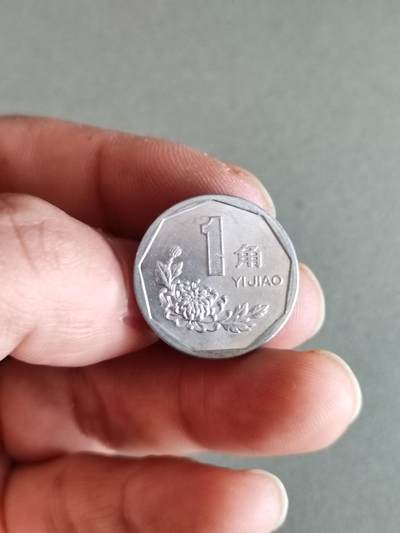 裸币 - 39:1993年菊花一角