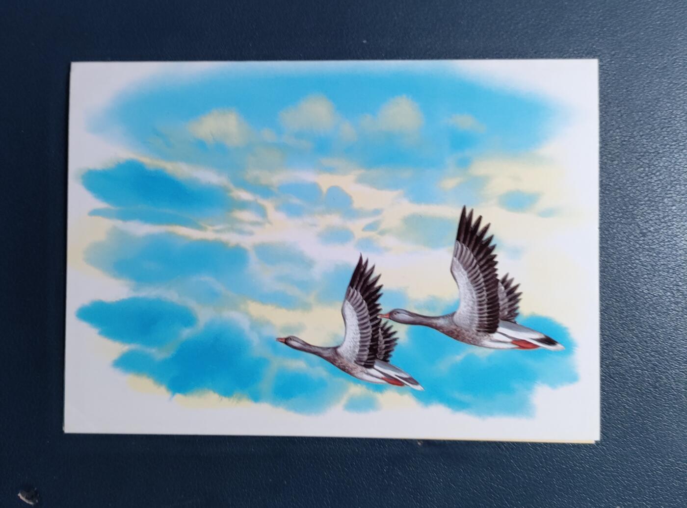 原册装纪、1996年邮政百年纪念 邮票四全