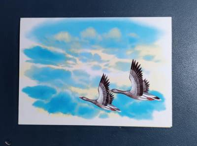 原册装纪、1996年邮政百年纪念 邮票四全 - 原册装纪、1996年邮政百年纪念 邮票四全