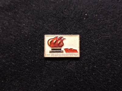 云宸嘉赏-勋臻佳藏新年快速场次（快拍 低佣 一元一手）（新年期间快递正常发） - 一月革命--上海工造总 小王时期经典派性章（对章）