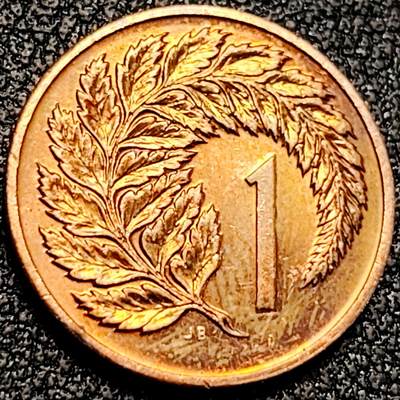 泉币菌-第198场- 新年快乐 新年第6场 本场拍品多 请提前出价（正月十五统一发货） - 新西兰1分青铜币 国树银蕨叶 17.5mm