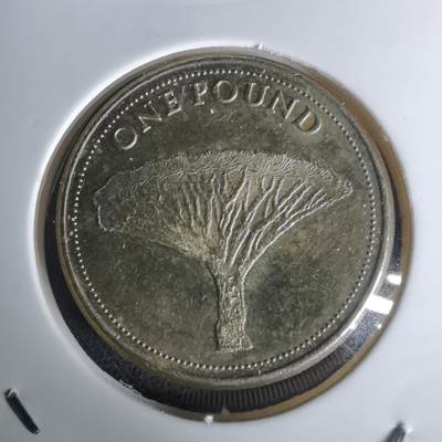 沼泽如烟--第1002场 - 直布罗陀2014年一磅