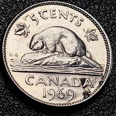 泉币菌-第198场- 新年快乐 新年第6场 本场拍品多 请提前出价（正月十五统一发货） - 1969年 加拿大5分 海狸动物 21mm 