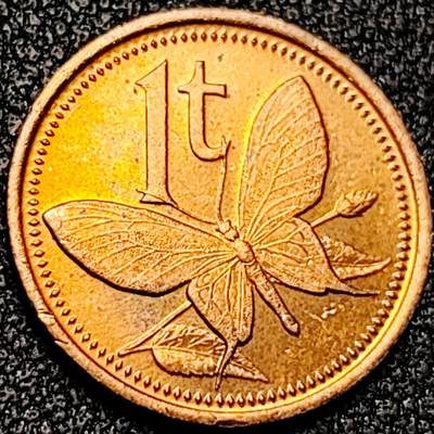 泉币菌-第199场- 新年快乐 新年第7场 本场拍品多 请提前出价（正月十五统一发货） - 原铜光极美  蝴蝶鸟翼蝶 巴布亚新几内亚1托伊青铜币 17.6毫米2克