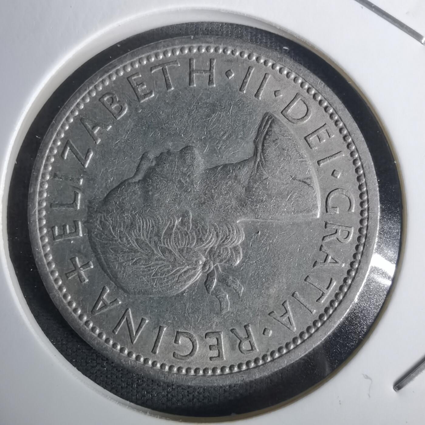 沼泽如烟--第1005场