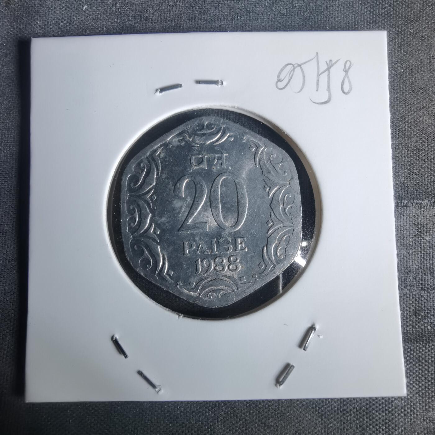 沼泽如烟--第1005场