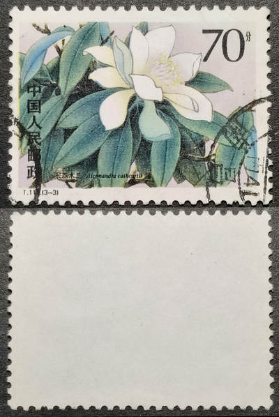 洪涛臻品批发群 精选邮票限时拍卖第1271期  - T111木兰70分大筋 面艳背白票挺无人为 信销全品