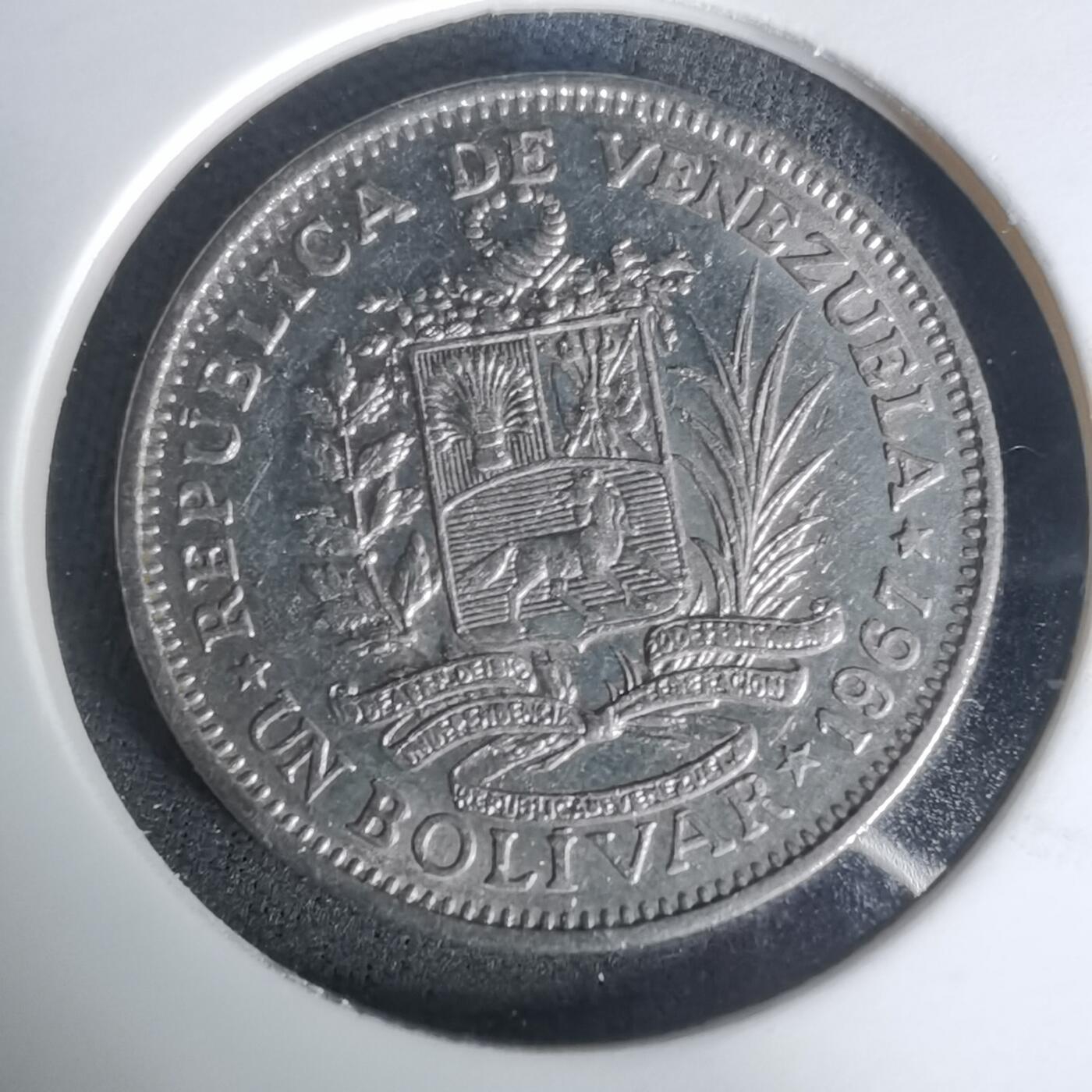 沼泽如烟--第1005场