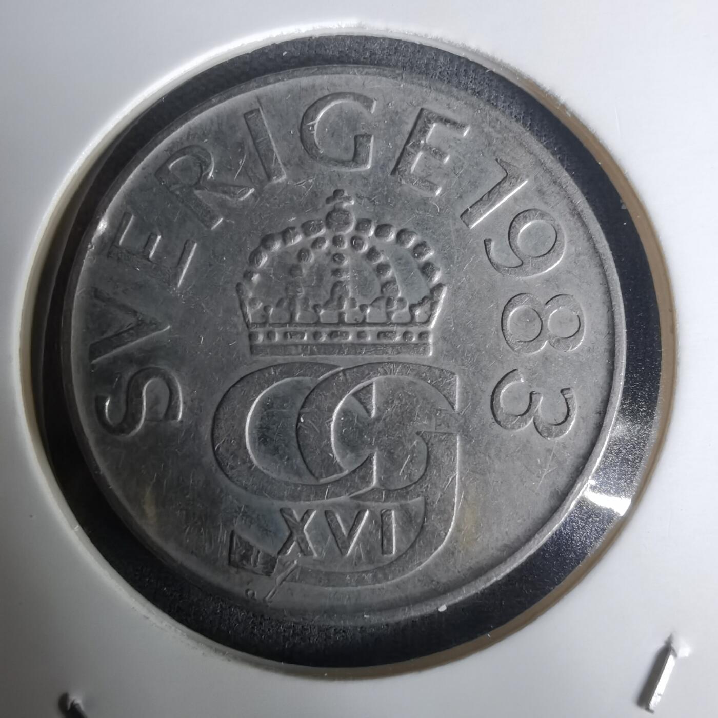 沼泽如烟--第1005场