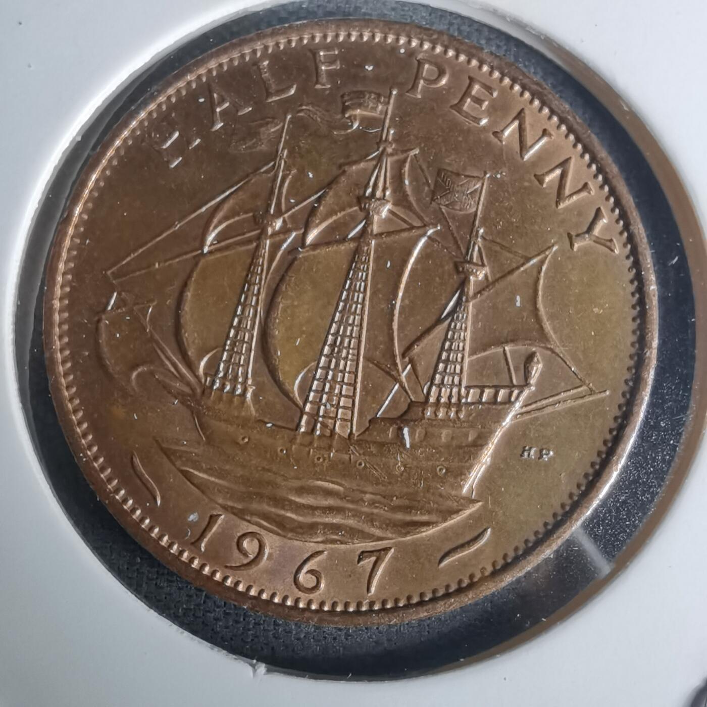 沼泽如烟--第1005场