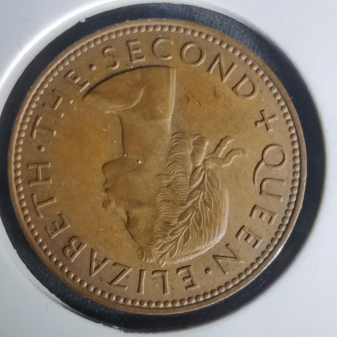 沼泽如烟--第1005场