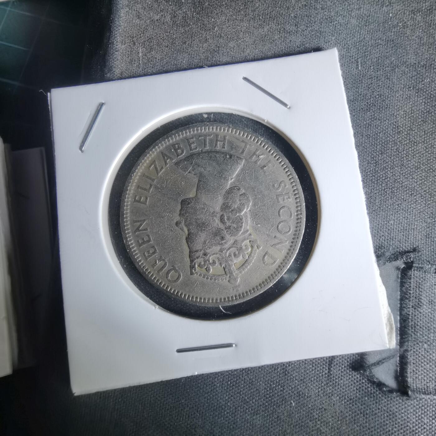 沼泽如烟--第1005场