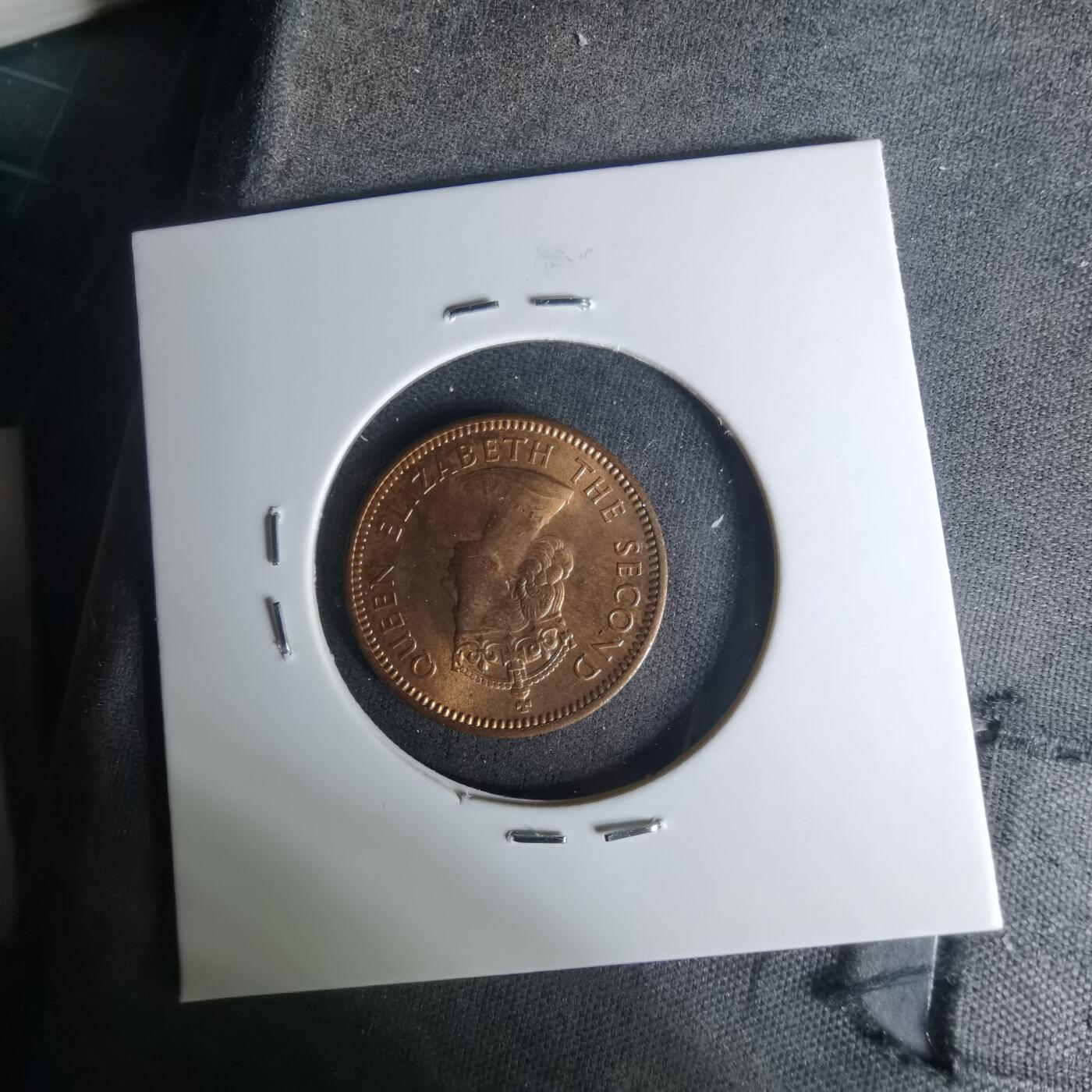 沼泽如烟--第1004场