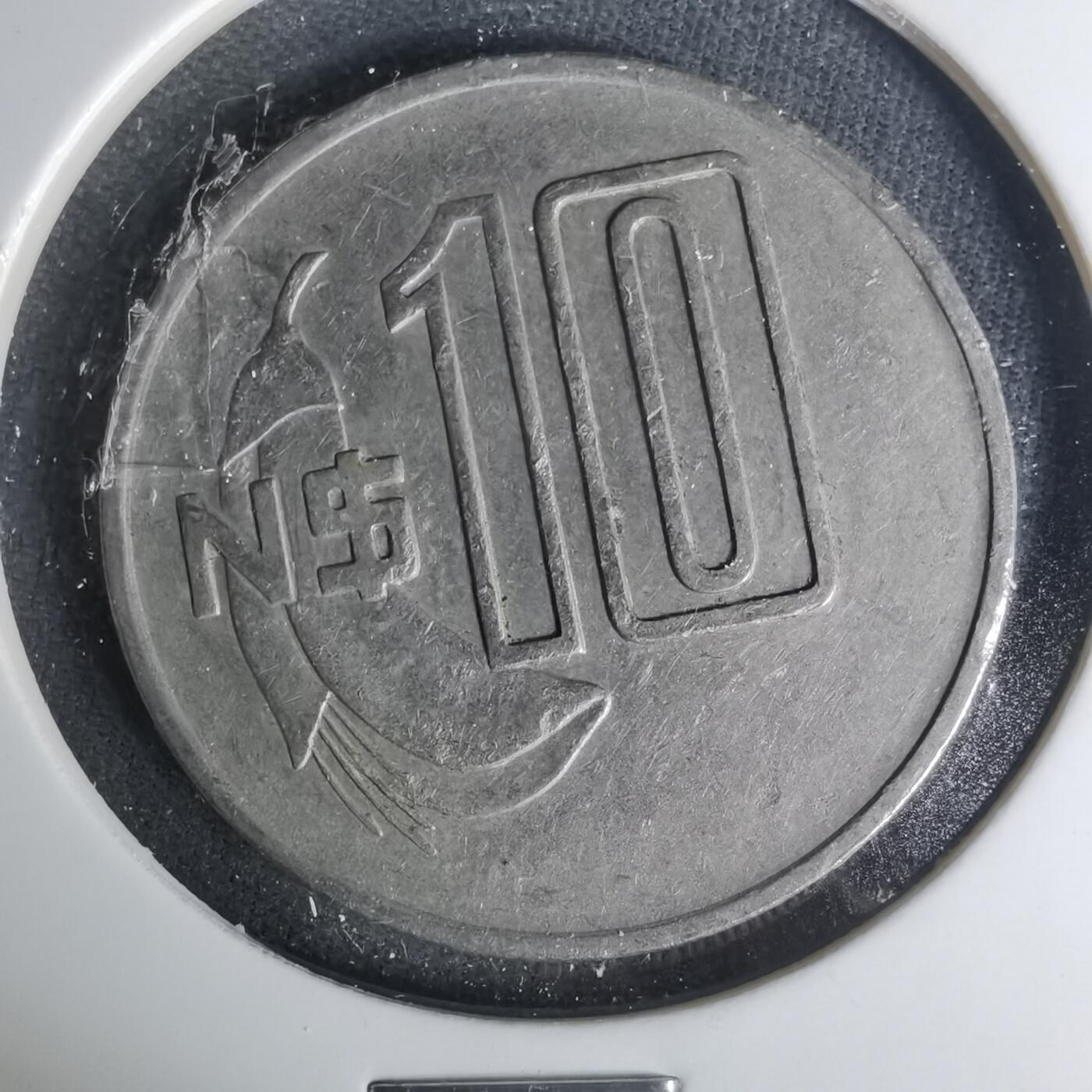 沼泽如烟--第1004场