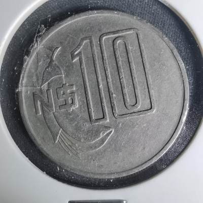 沼泽如烟--第1004场 - 乌拉圭1981年10比索