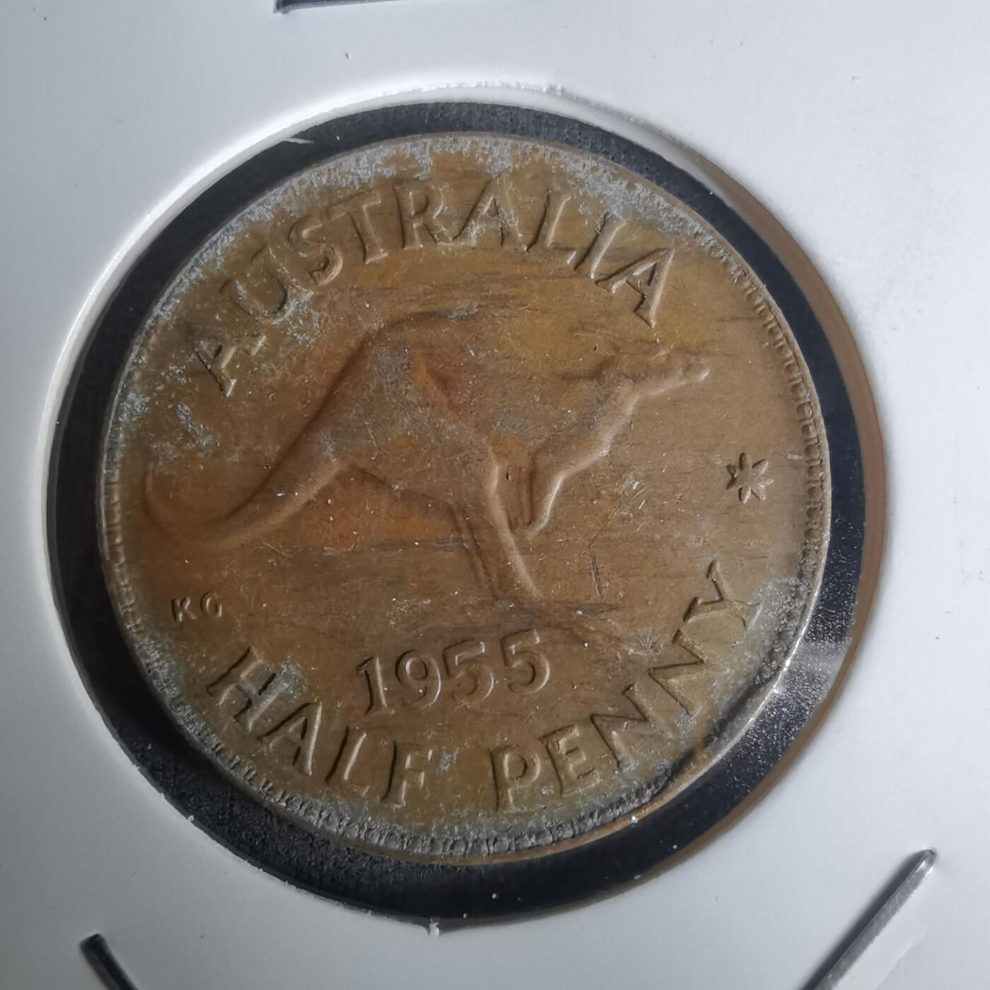 沼泽如烟--第1005场