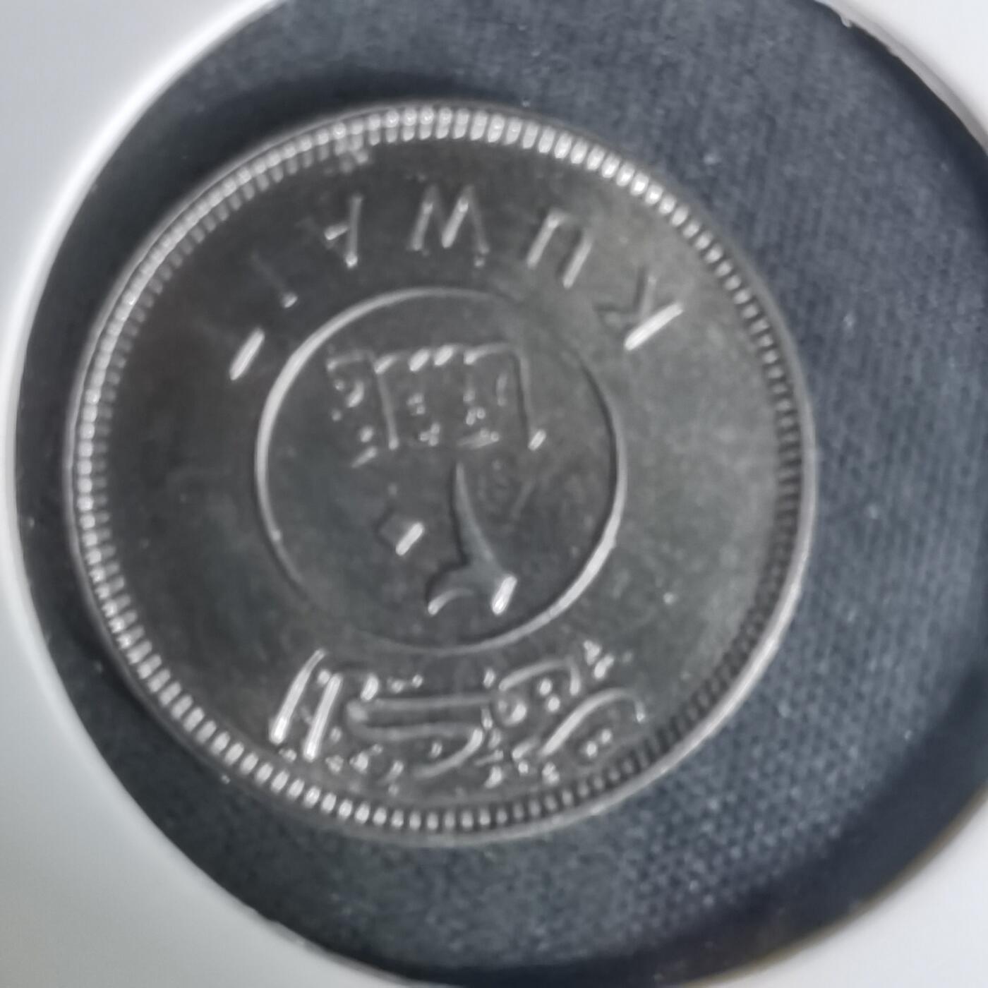 沼泽如烟--第1004场