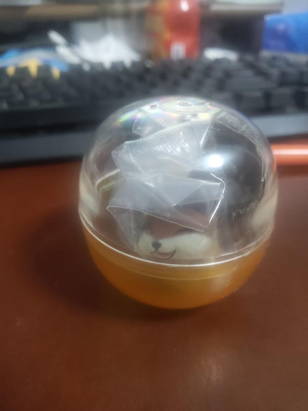 琦卡当当铺～第34期★★新年快乐~各种类型亲签A4都有~支持寄存★★~【9点40结束】扫码加群抽[包邮券]~ 【绝版】正版扭蛋 雕刻动物园 艺术家合作版 小狐狸 1个 未拆