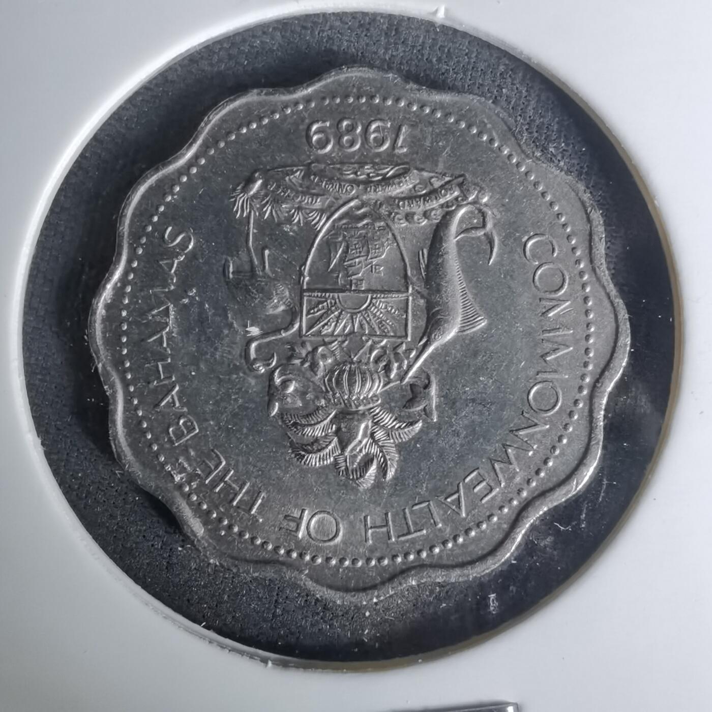 沼泽如烟--第1004场