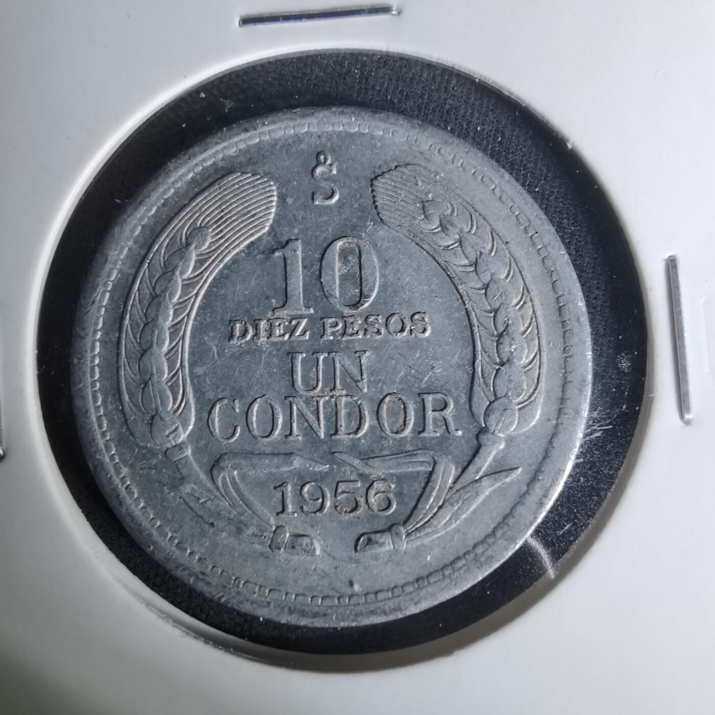 沼泽如烟--第1004场