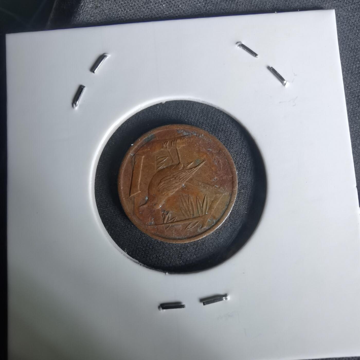 沼泽如烟--第1005场