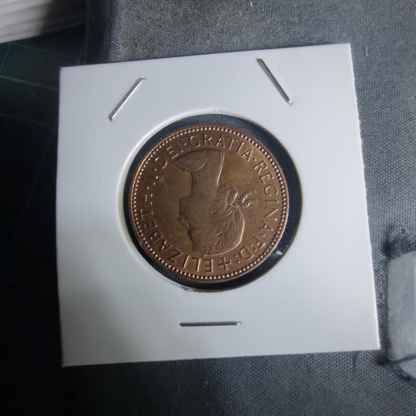 沼泽如烟--第1005场