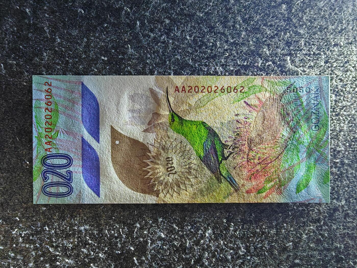 【礼羽收藏】🌏世界钱币拍卖126期 【测试钞】欧洲 俄罗斯 GOZNAK印钞厂 2020 鸟与花 全新UNC AA首冠 数三镜子号