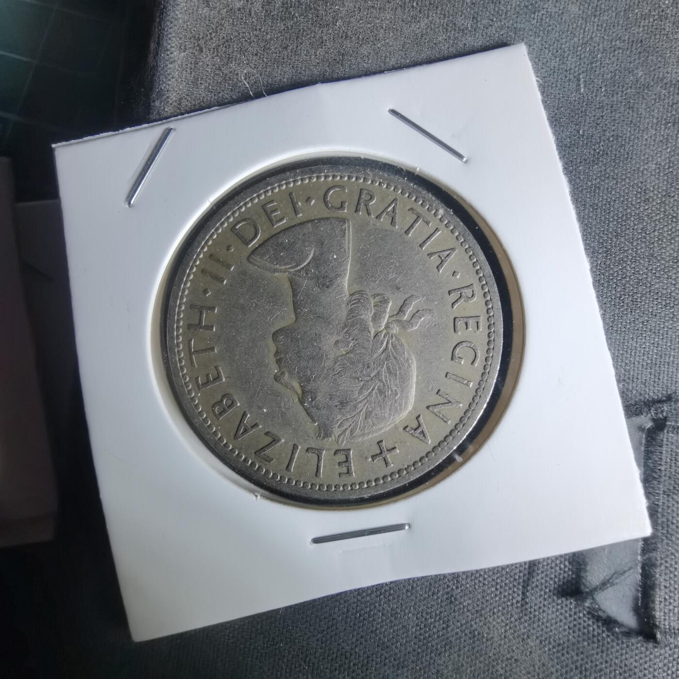 沼泽如烟--第1005场