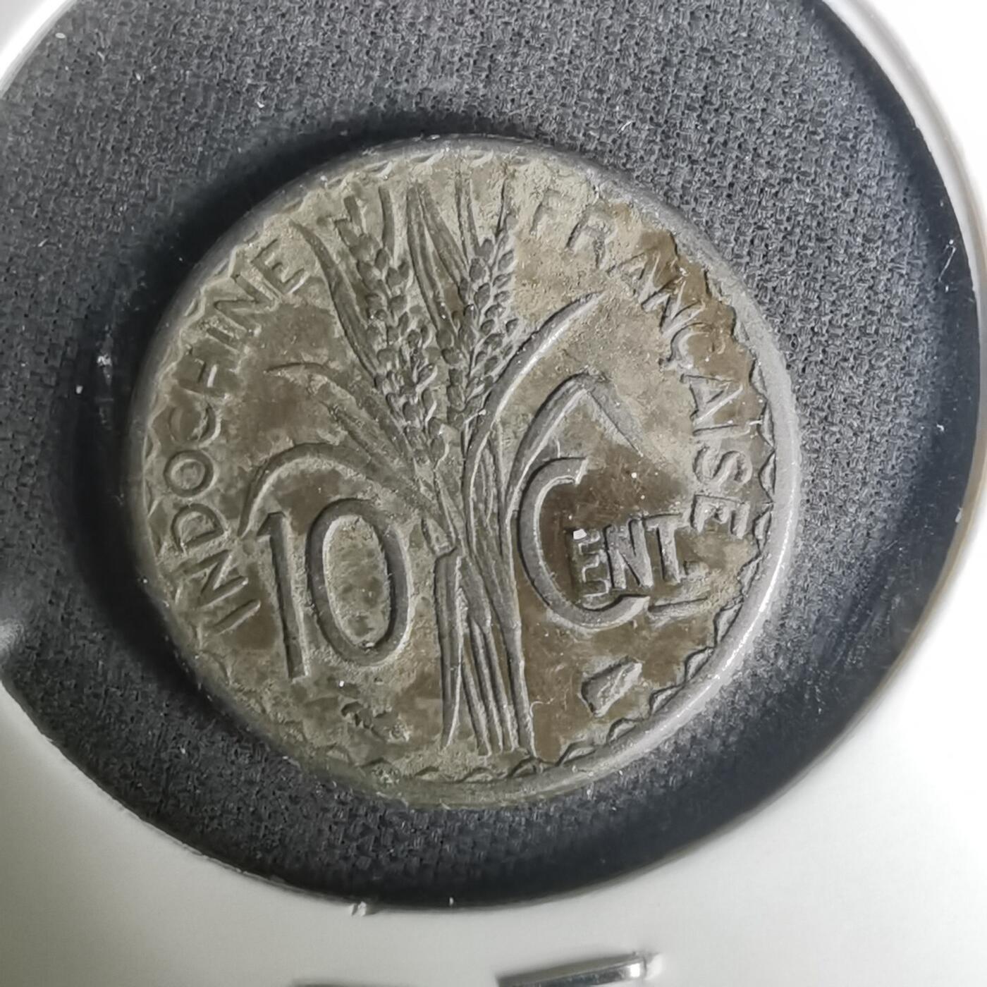 沼泽如烟--第1004场