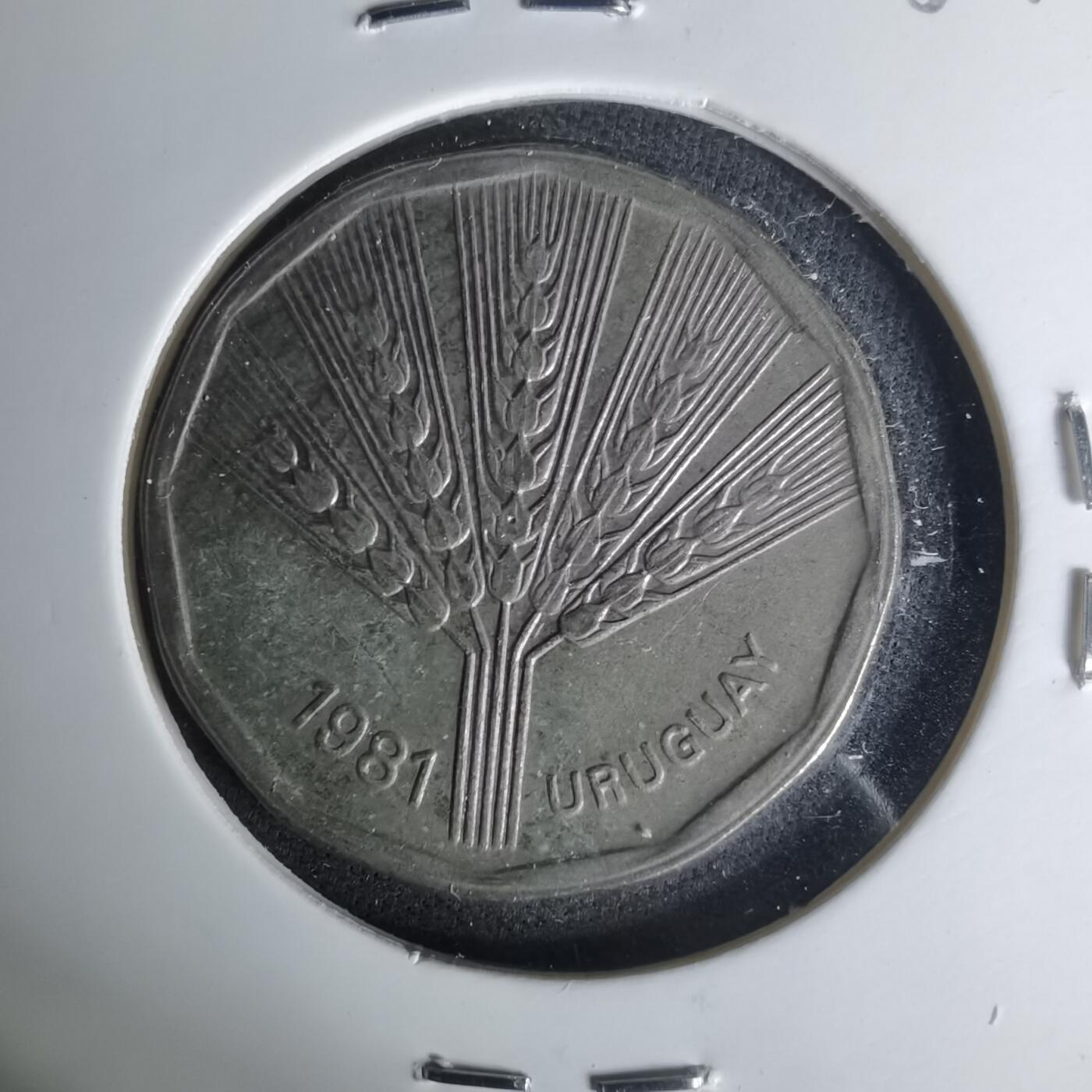 沼泽如烟--第1004场 乌拉圭1981年2比索