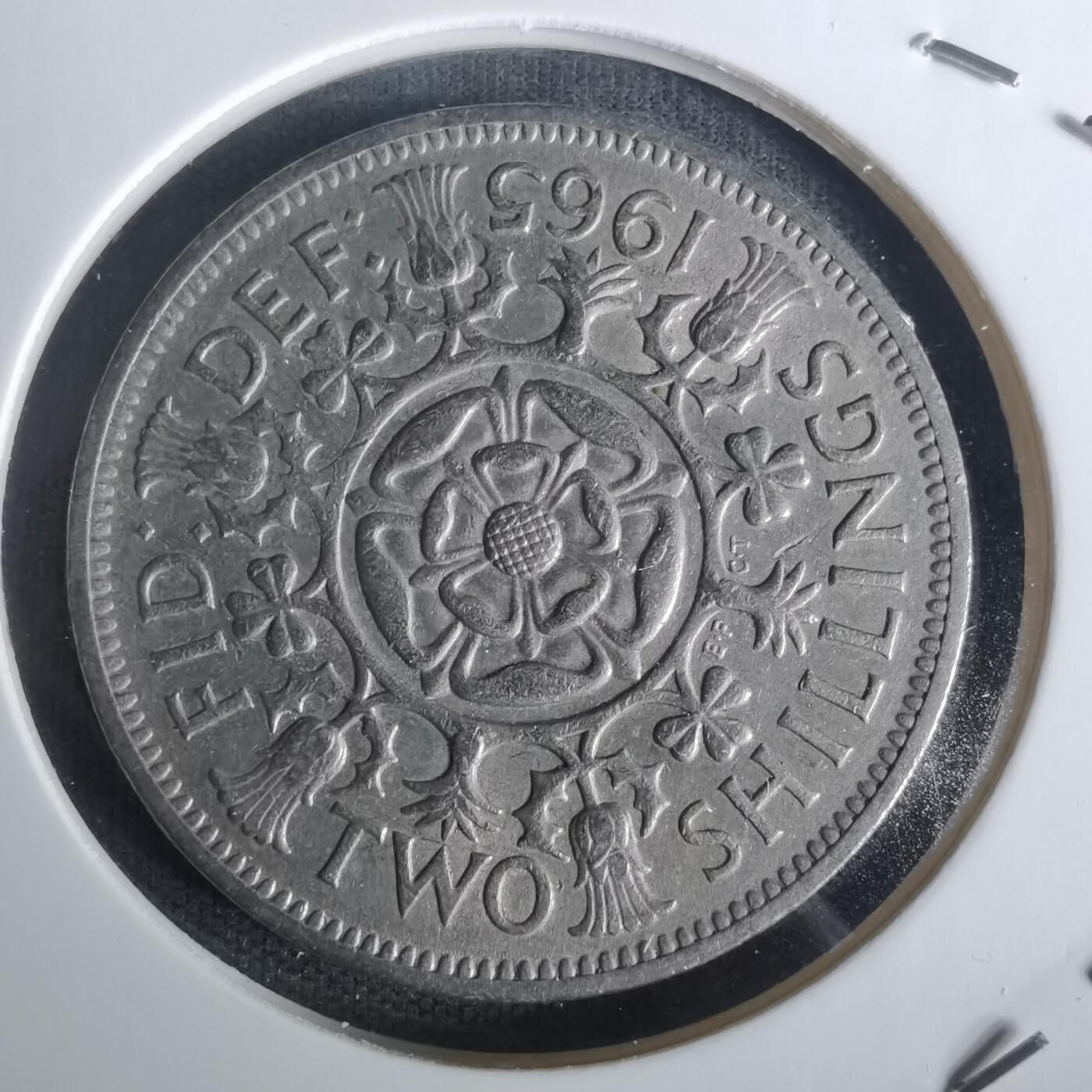 沼泽如烟--第1005场