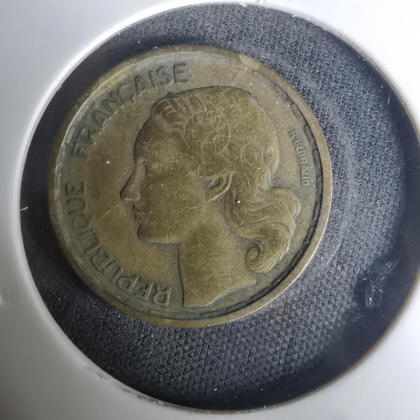 沼泽如烟--第1004场