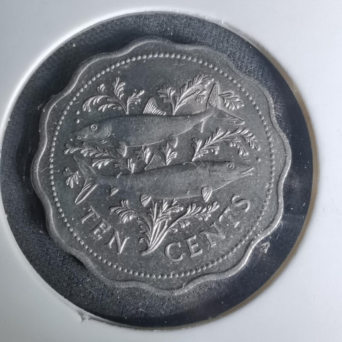 沼泽如烟--第1004场