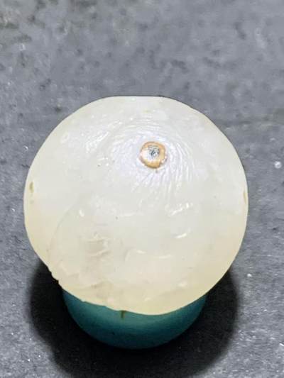 精美满冰飘亚光战国红玛瑙手工俏色巧雕喜鹊随形珠一个 - 精美满冰飘亚光战国红玛瑙手工俏色巧雕喜鹊随形珠一个