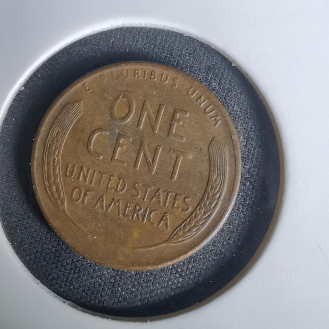 沼泽如烟--第1005场