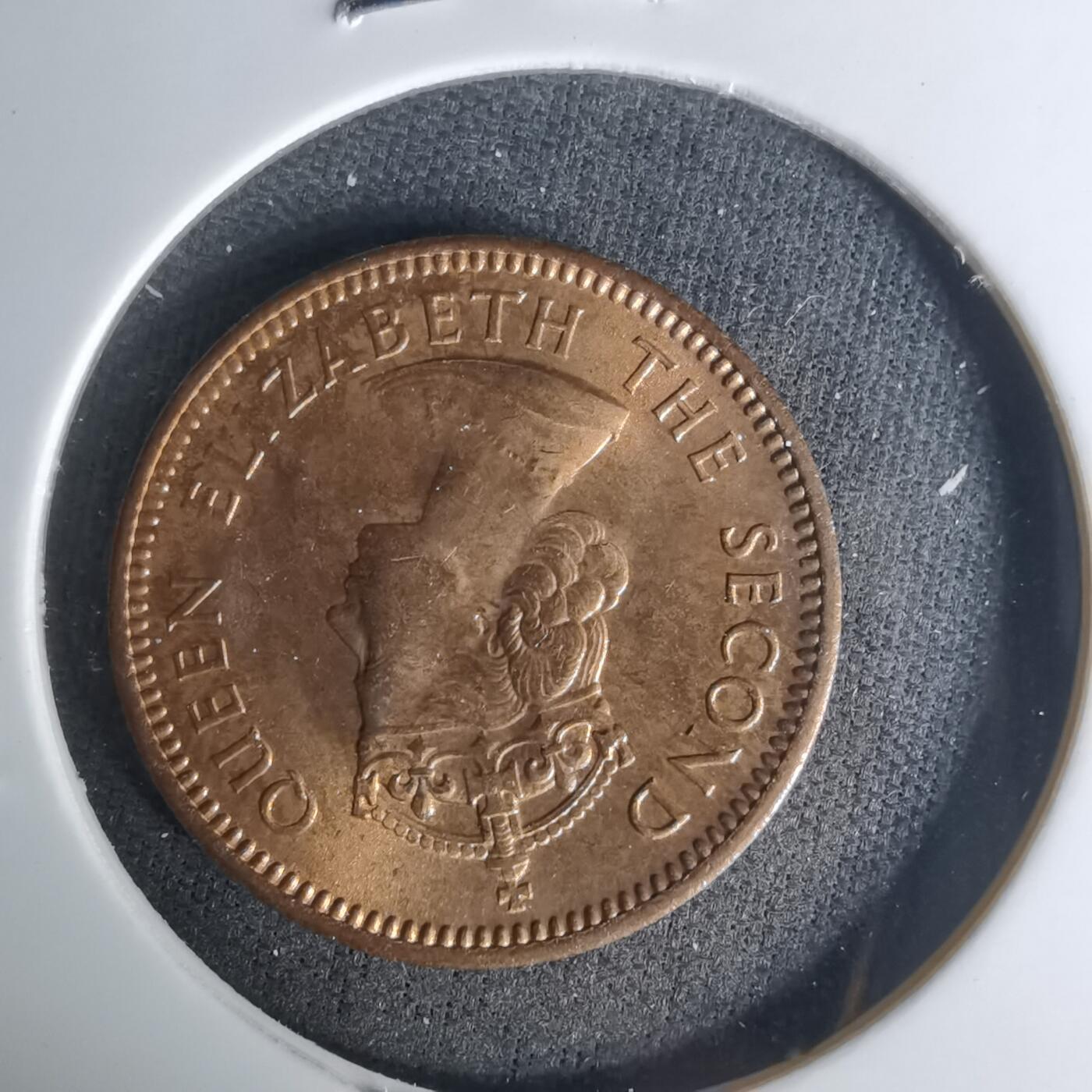 沼泽如烟--第1004场