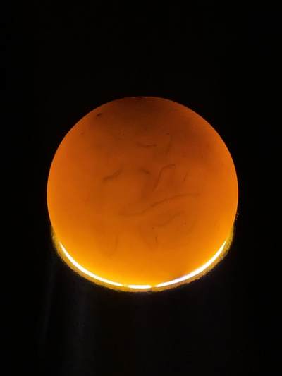 精美高玉化亚光冻料鸡油黄战国红玛瑙手工俏色巧雕悟字珠一个， 精美高玉化亚光冻料鸡油黄战国红玛瑙手工俏色巧雕悟字珠一个，