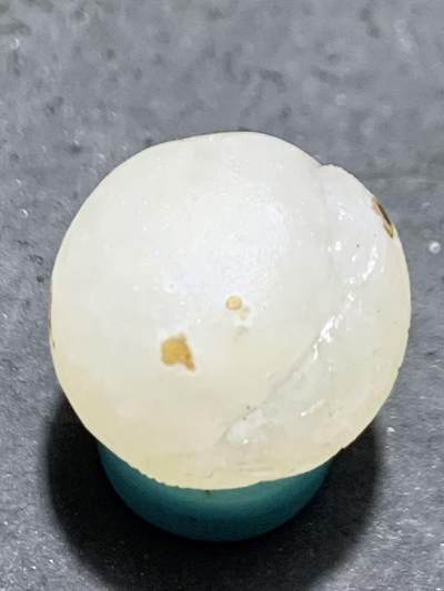 精美满冰飘亚光战国红玛瑙手工俏色巧雕喜鹊随形珠一个 精美满冰飘亚光战国红玛瑙手工俏色巧雕喜鹊随形珠一个