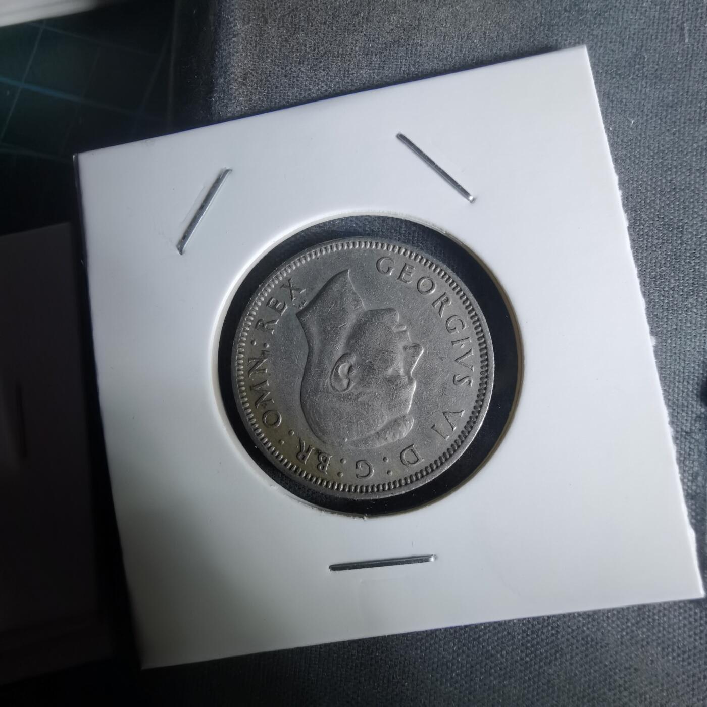 沼泽如烟--第1005场